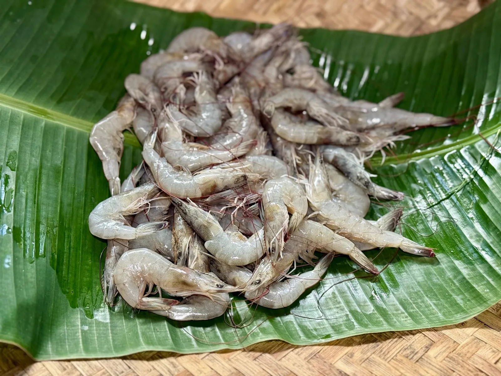 Freshly harvested shrimp laid out on a banana leaf